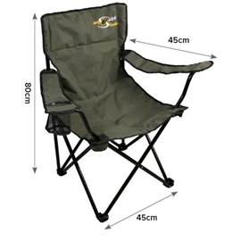 Carp Spirit Lounge Chair|ACC520012